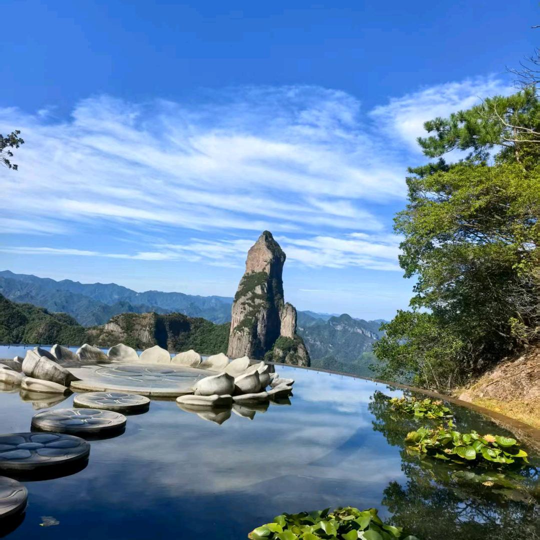 兮兮