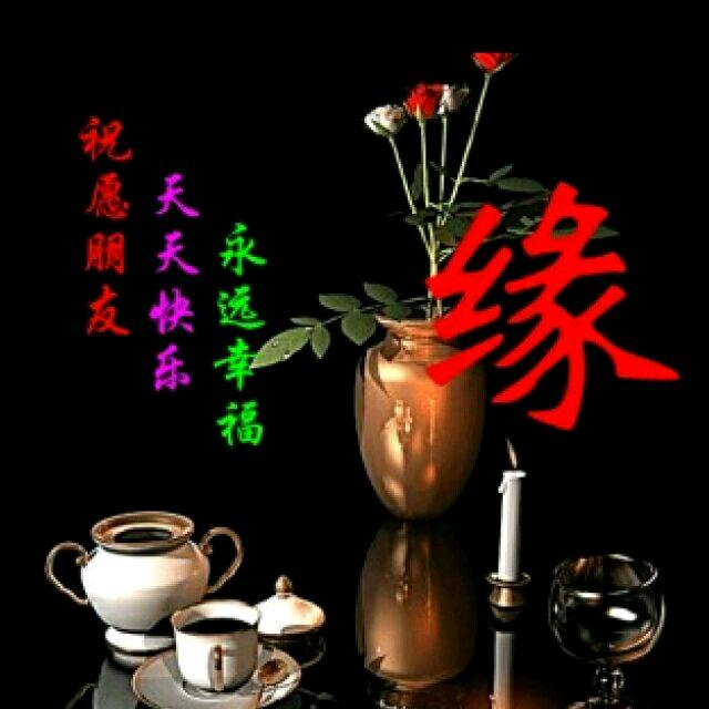 赢赢