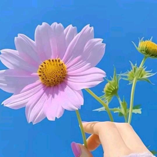 好熟悉的陌生人