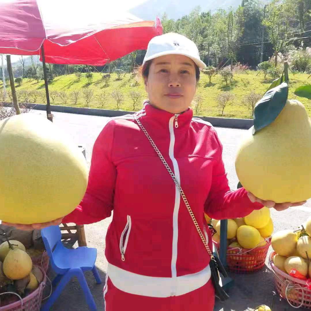 卖柚子的巧婶