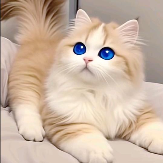 顺顺