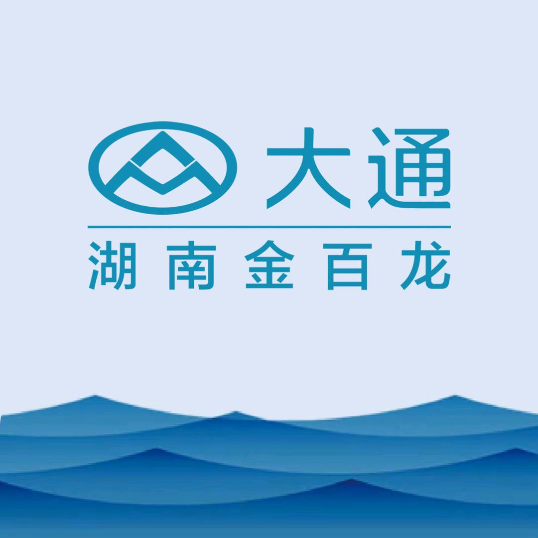 大通新能源大拿（长沙总店）