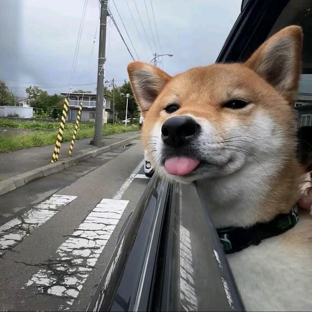 LT澜天