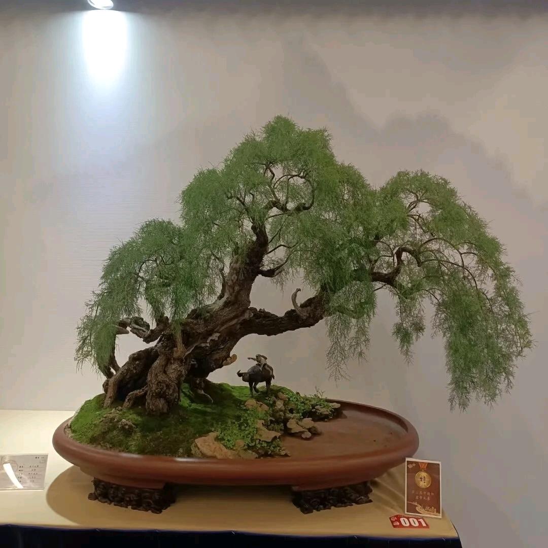 用户2267726911625正在编辑