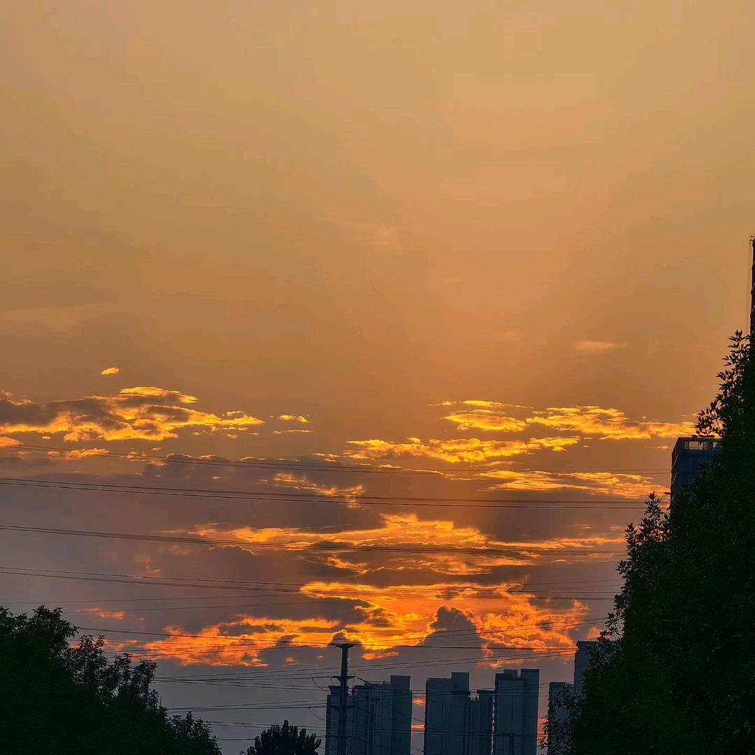 来福