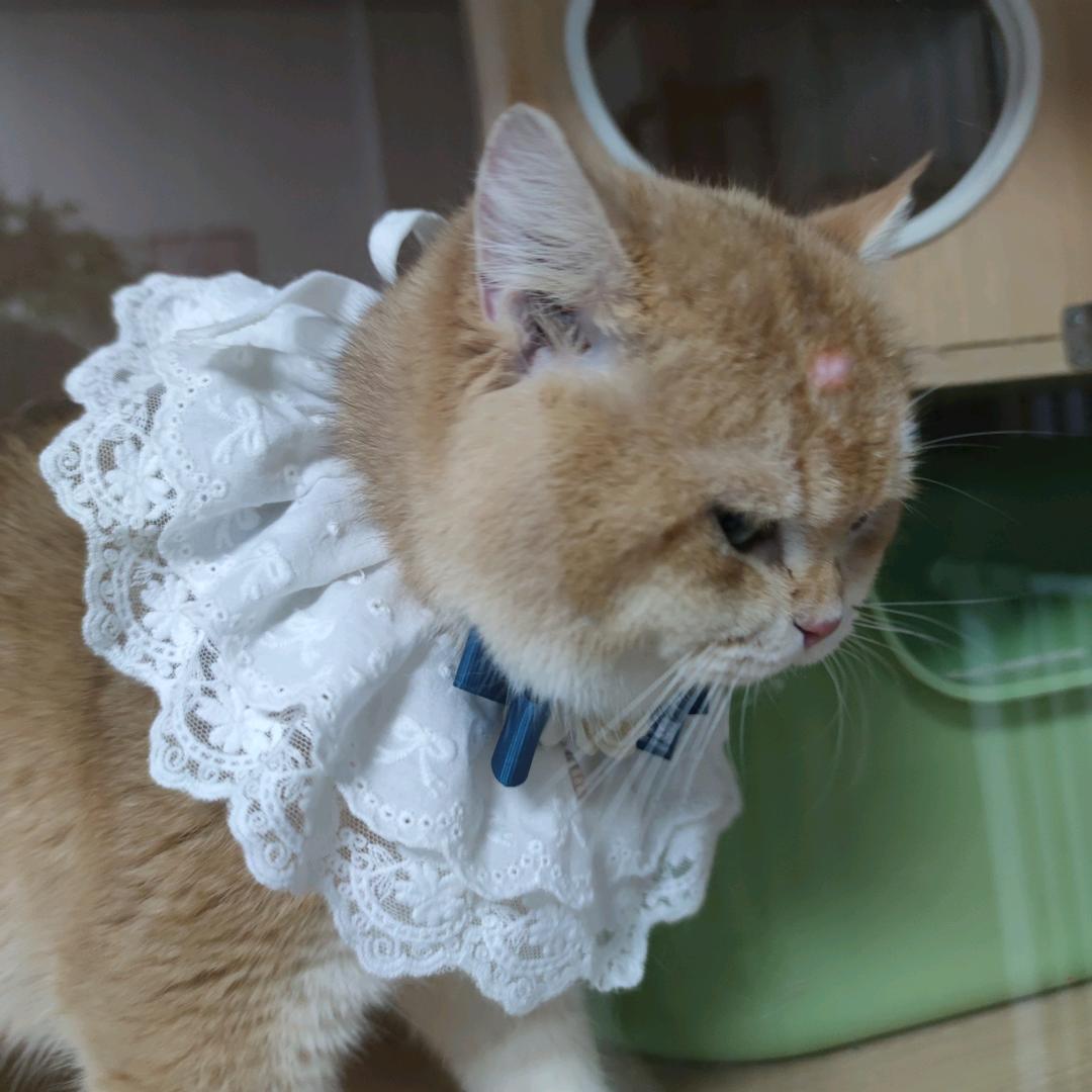 嘿嘿666