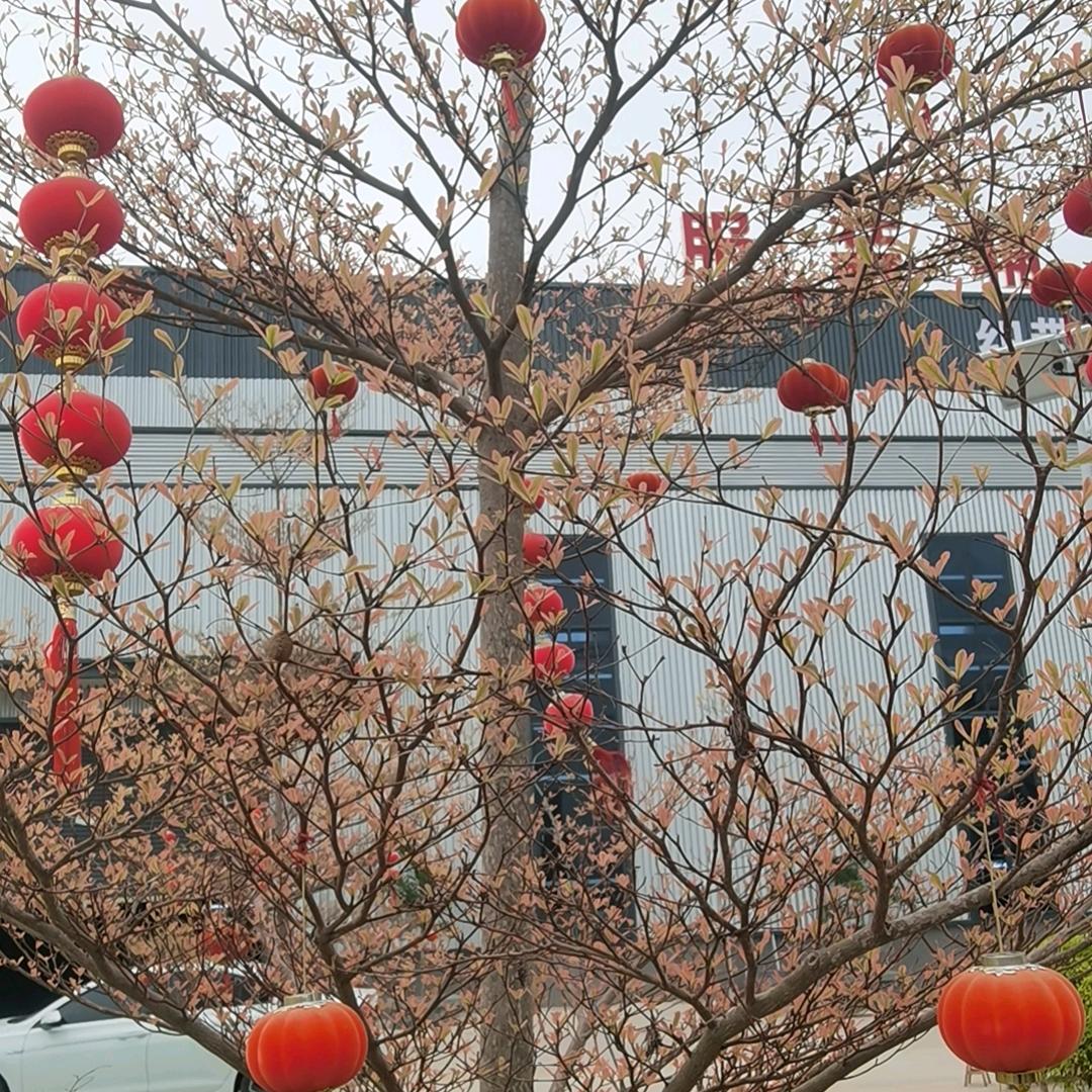 动物世界