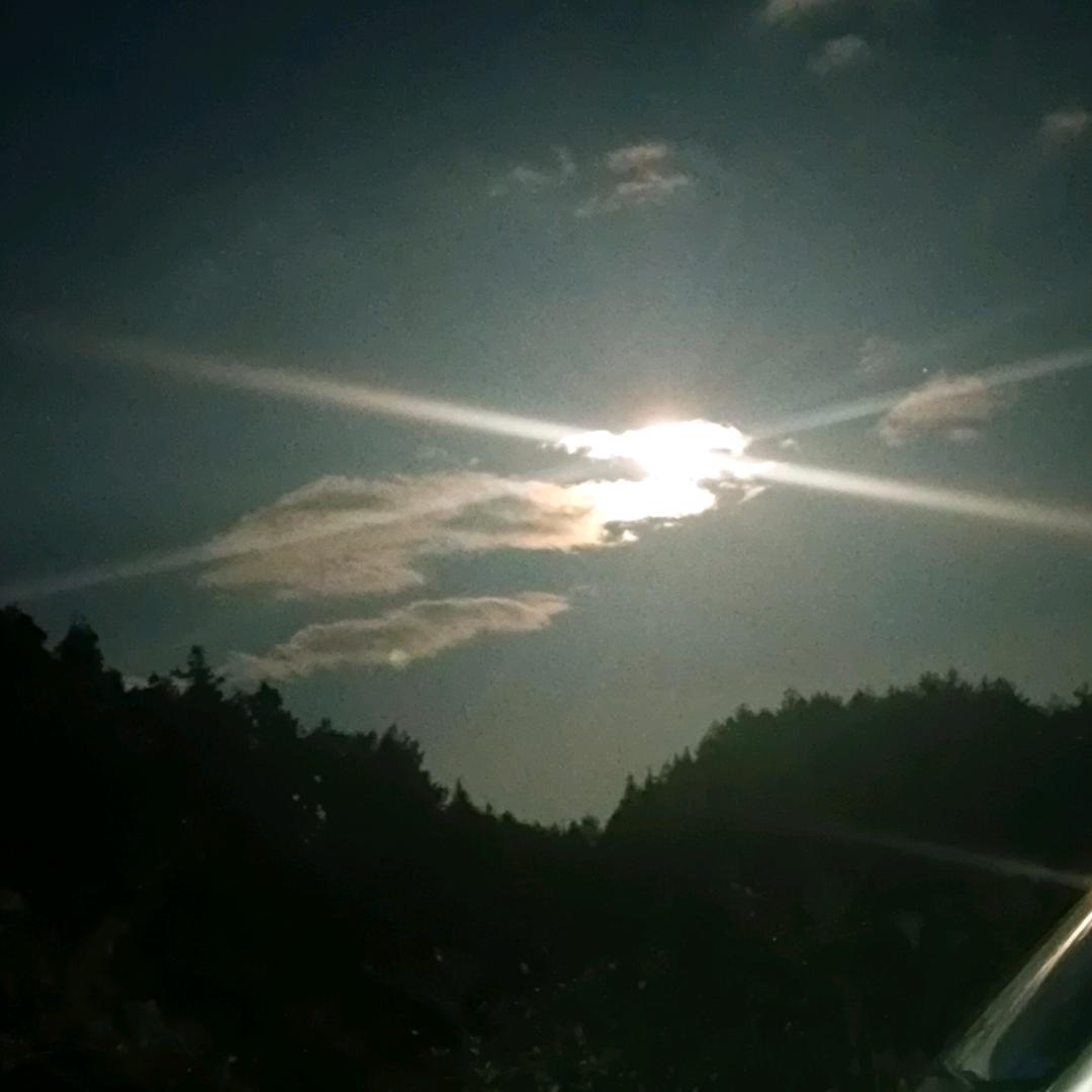 乁༼☯‿☯✿༽ㄏ