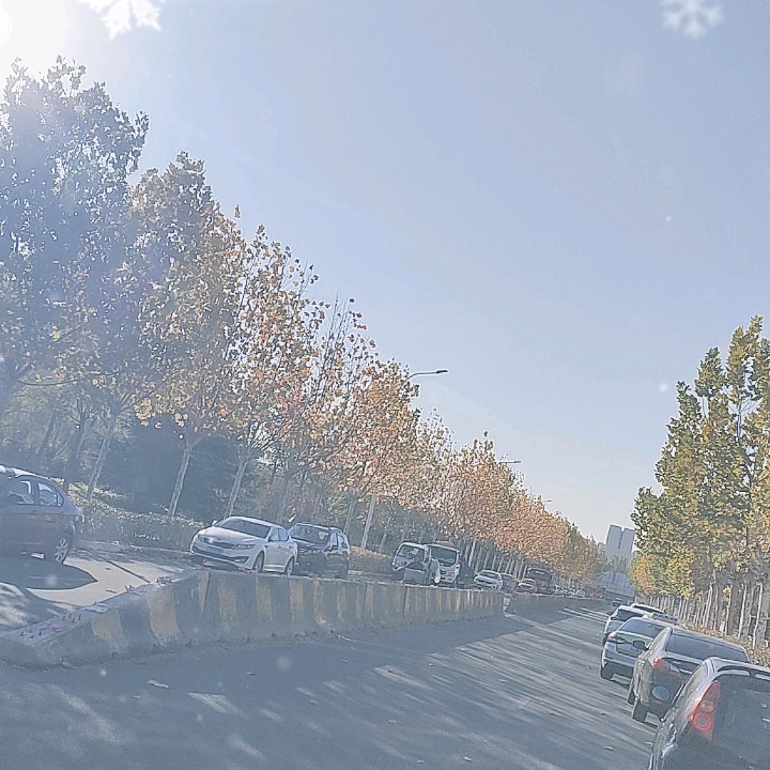 八十一局