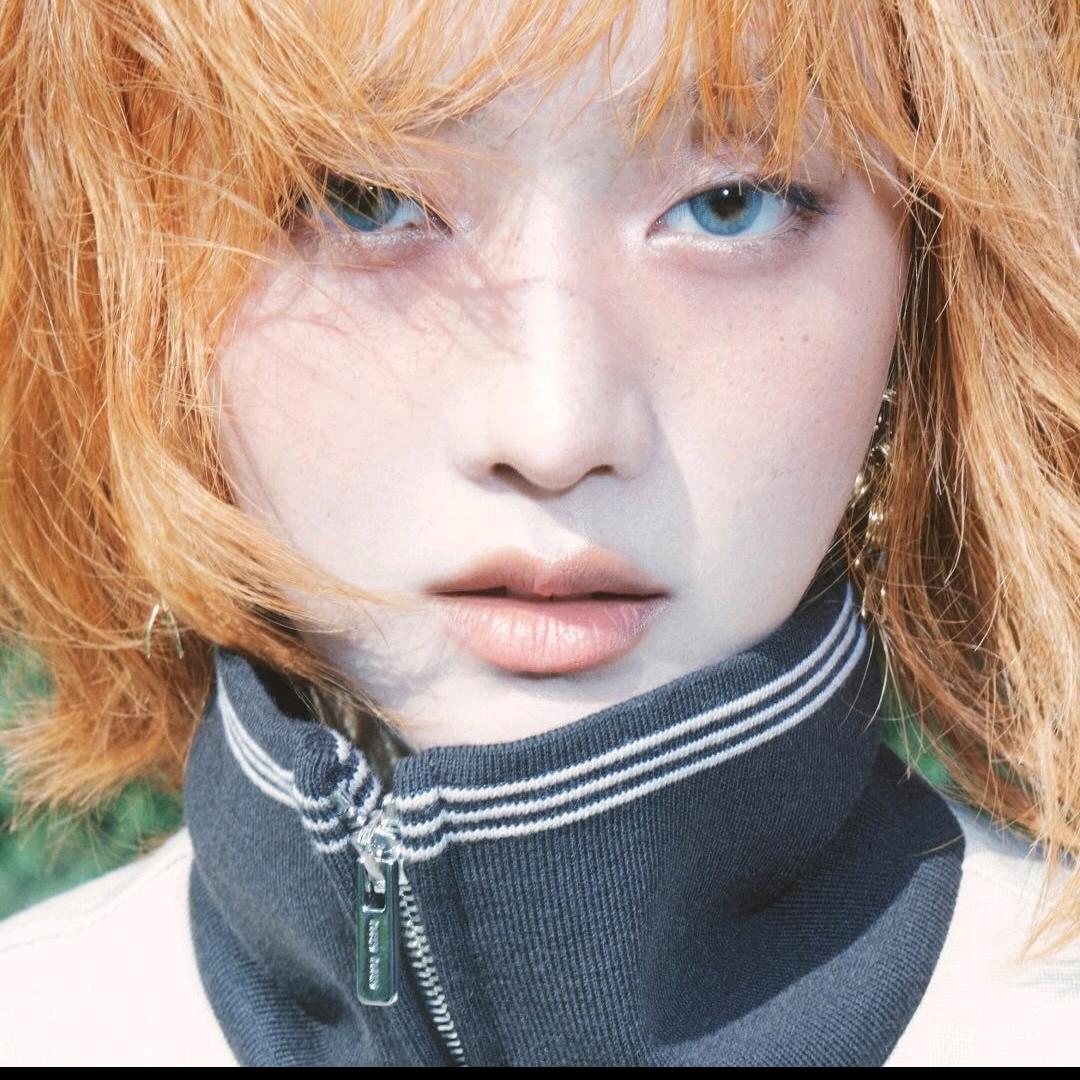 林桉