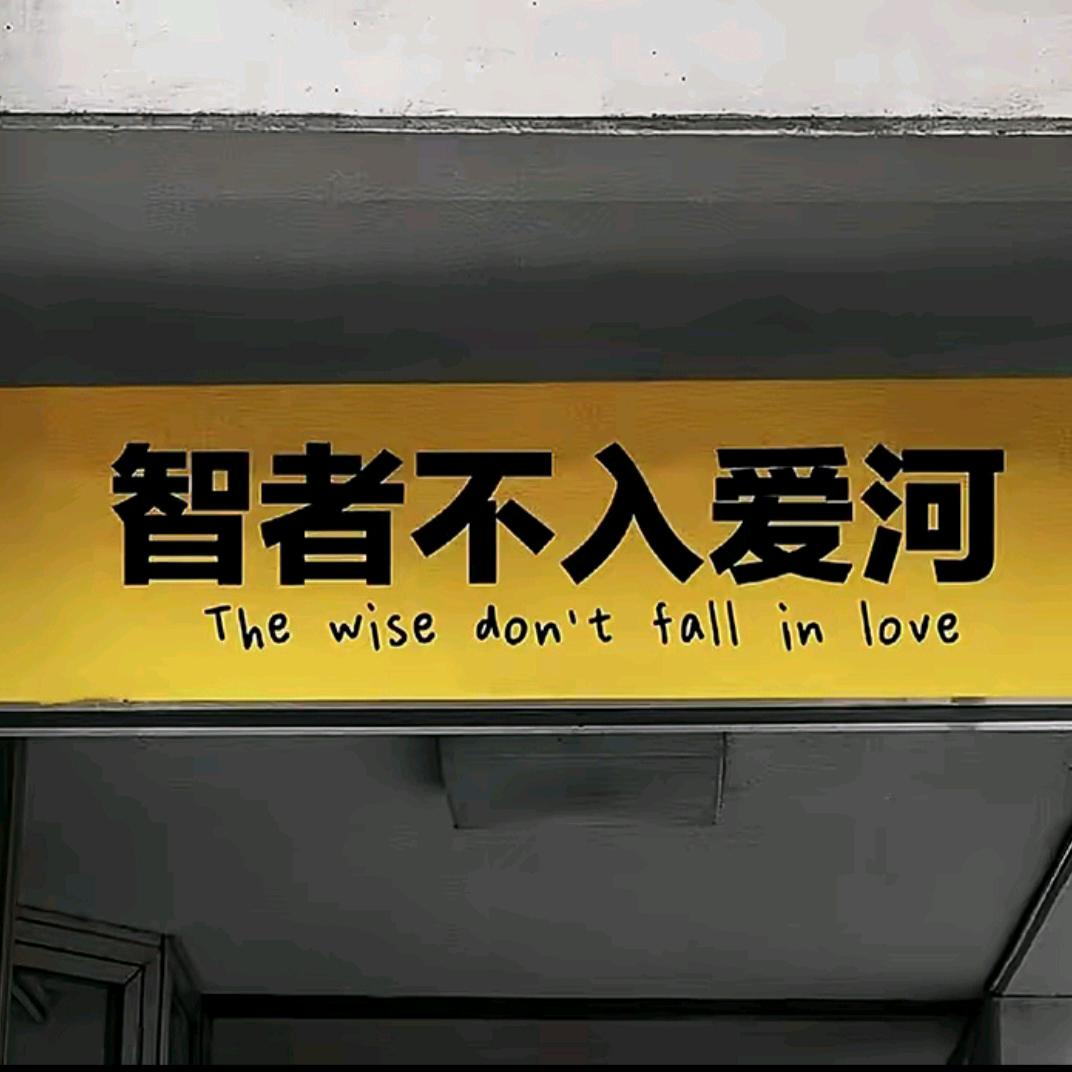 智者不入爱河