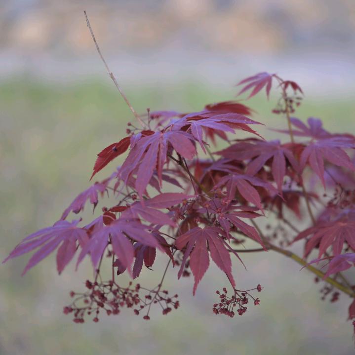 钣金设计～铁大汉