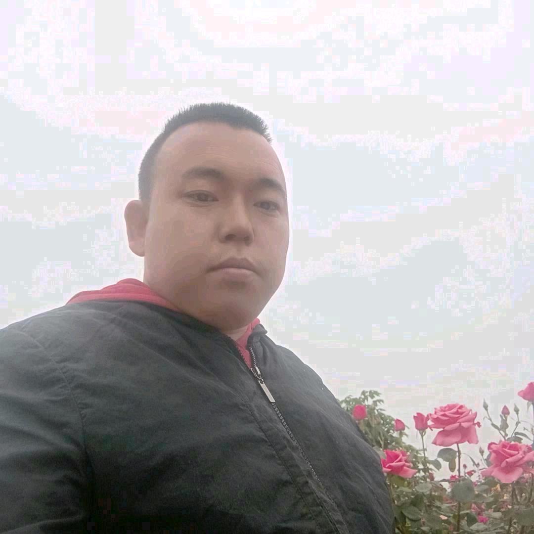 万事如意小马。