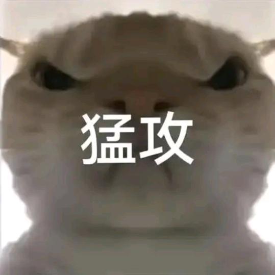 香蕉鼠鼠大将军