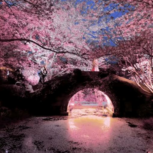 许你真心💞💞