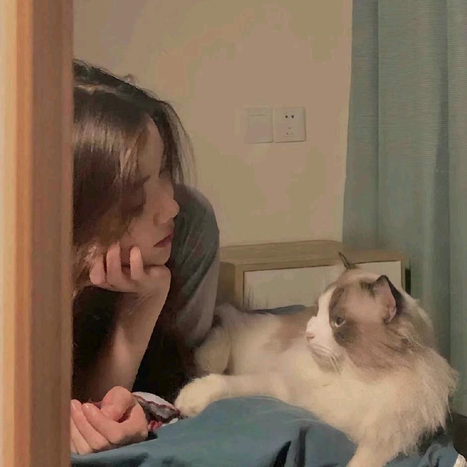 🌙...