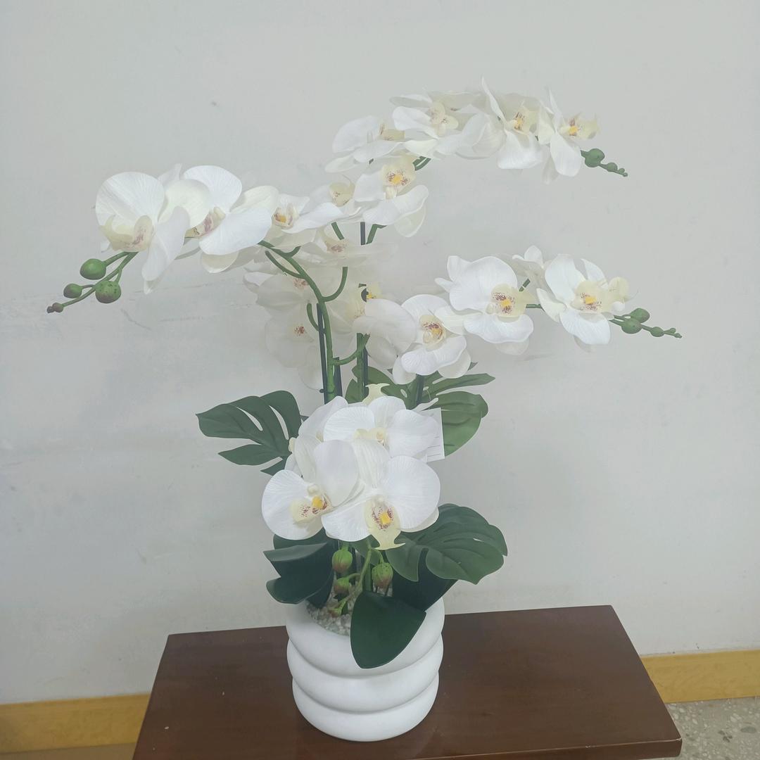 东莞卓云工艺品，蝴蝶兰手感胶片批发零售