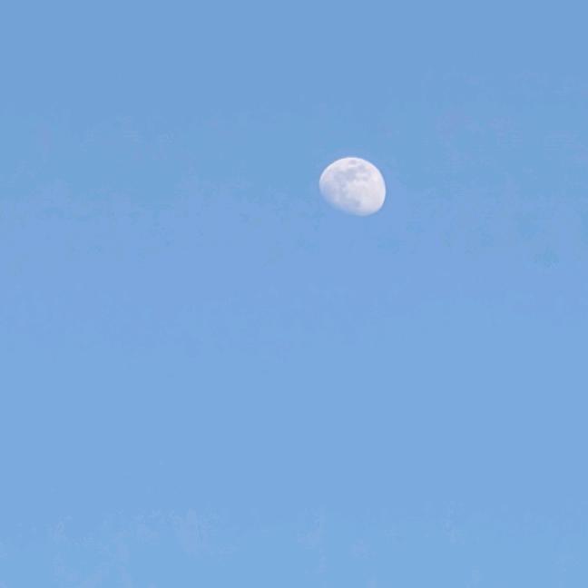 译心就一心