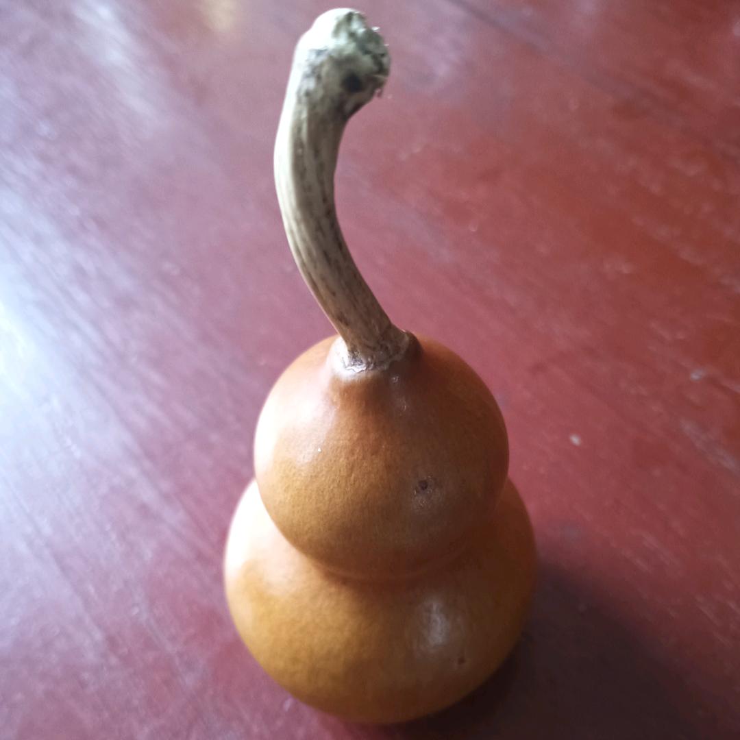 夜幕下的哈尔滨