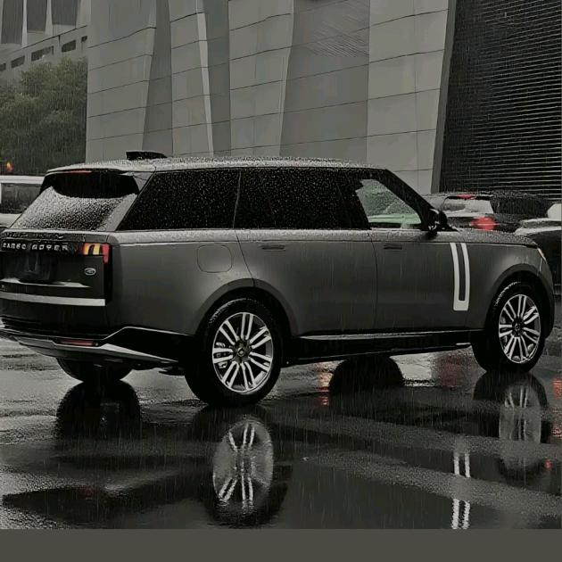 （云老表） 云鑫汽车