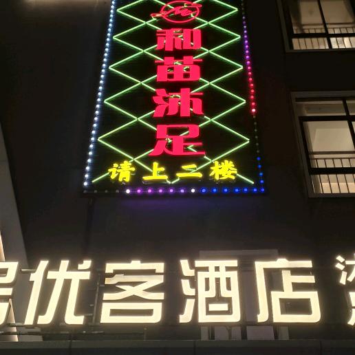东莞茶山和苗推荐官101号