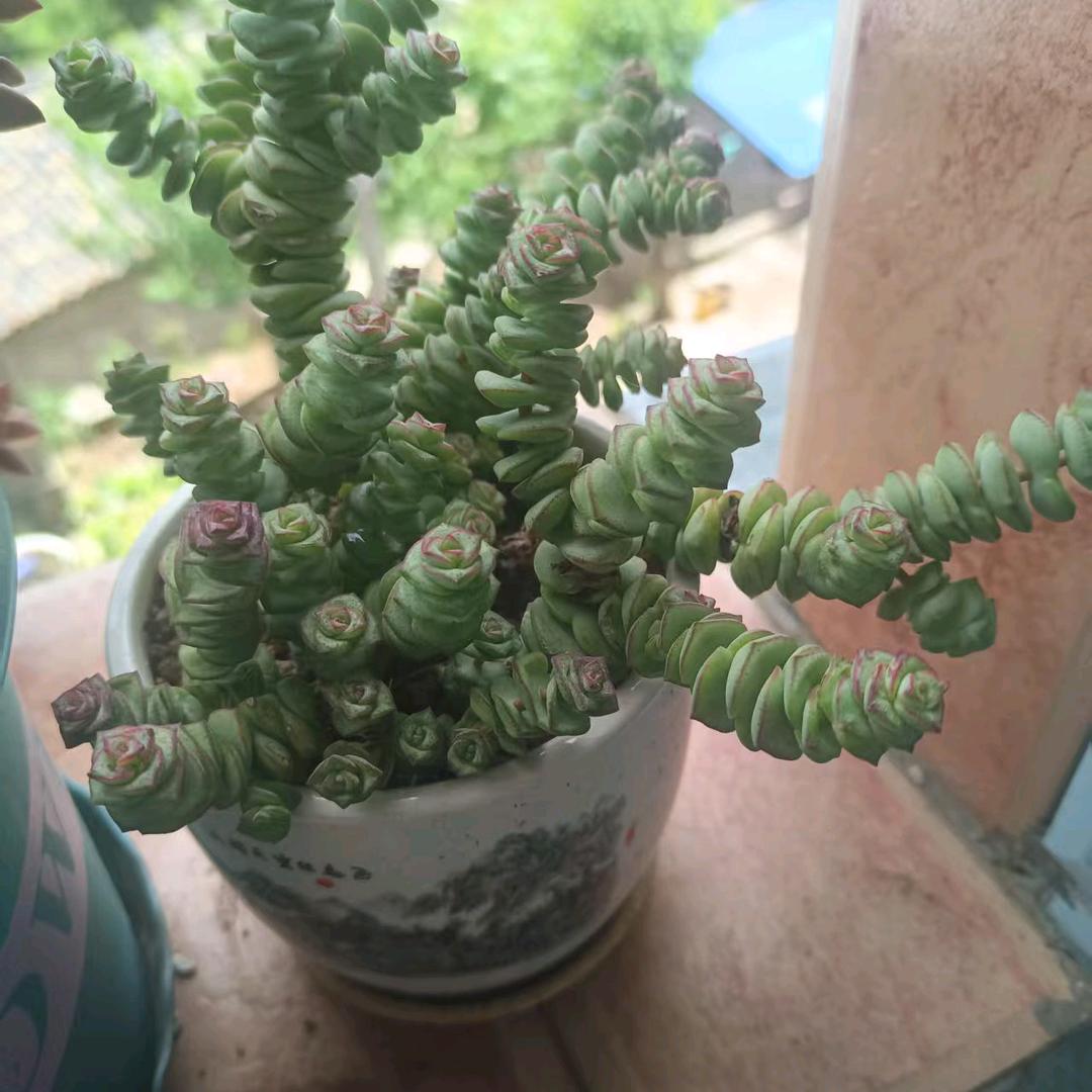 前途光明