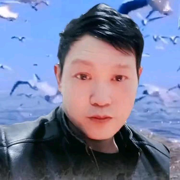 (  海底捞针 )