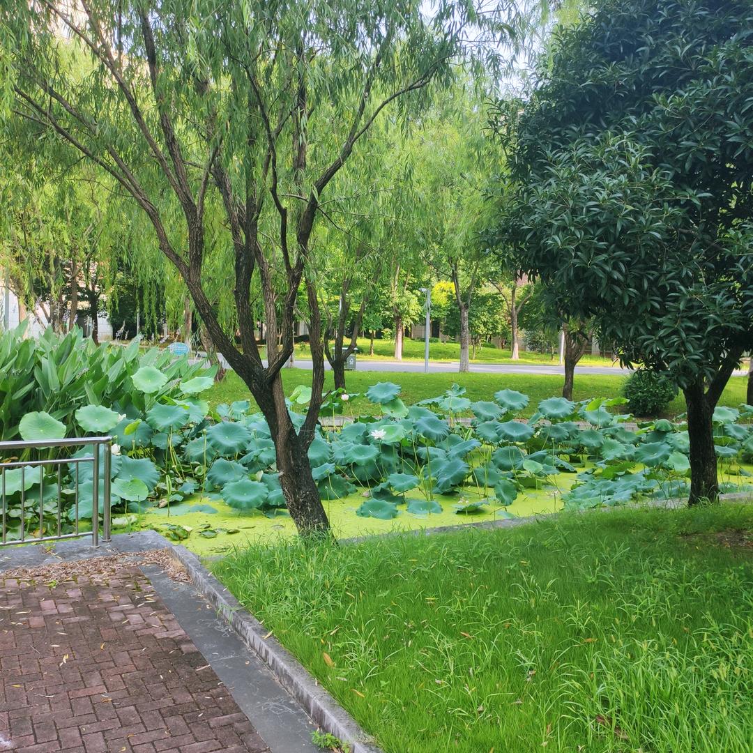与悦