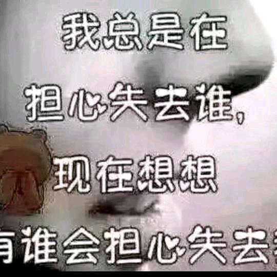 7755
