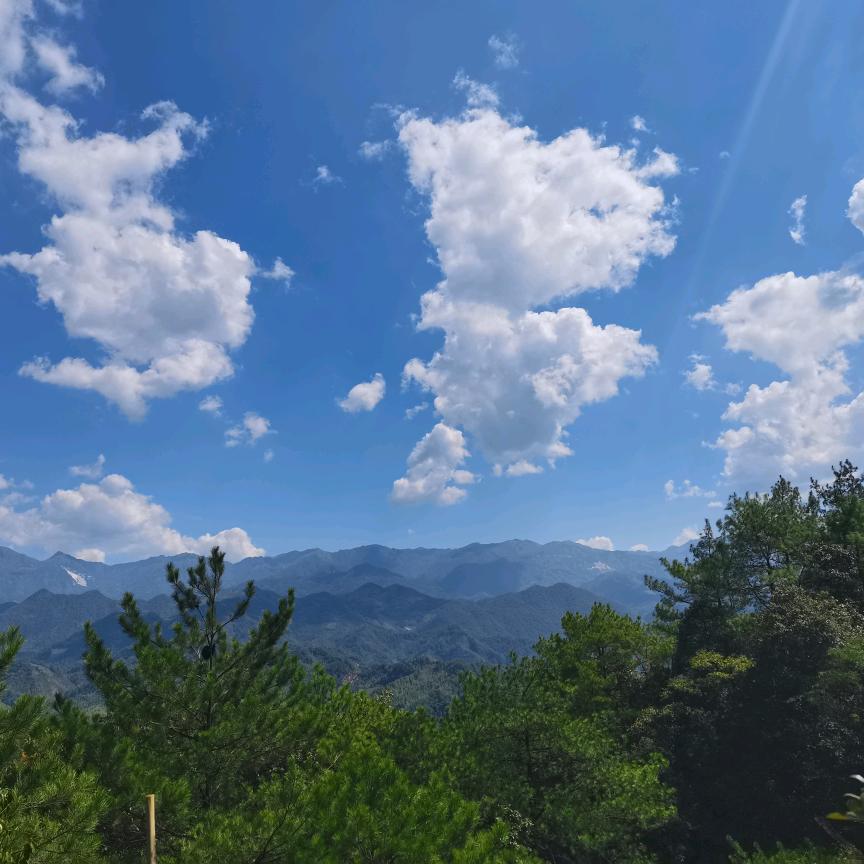 小糖会感慨