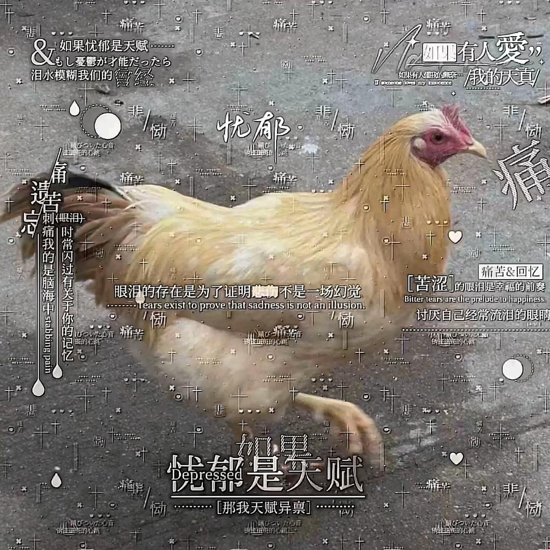 咯咯哒