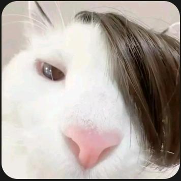 管狐