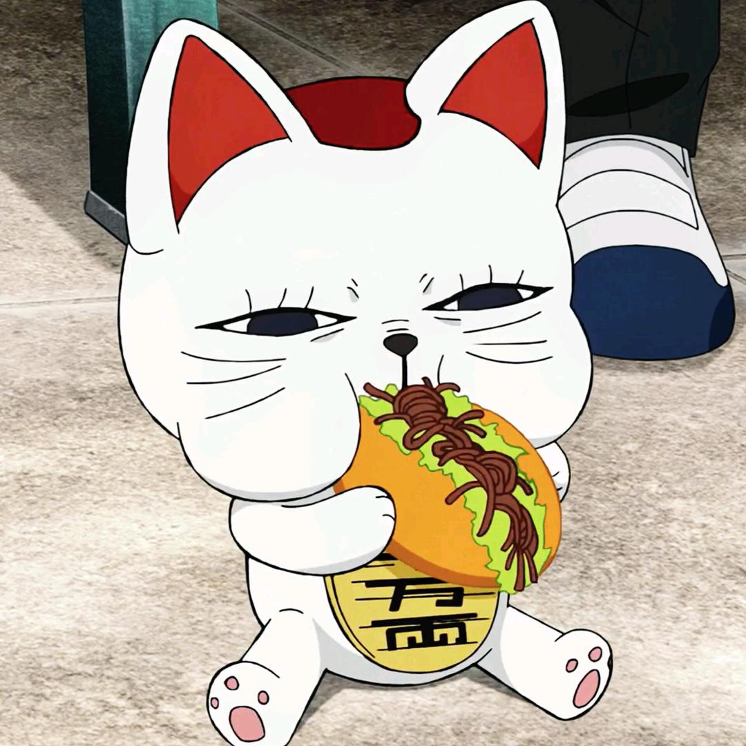 娱乐（弹幕版）