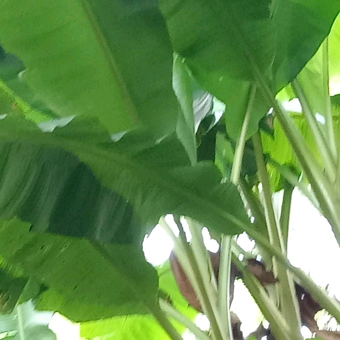 红尘好多苦🔥⁹²²³