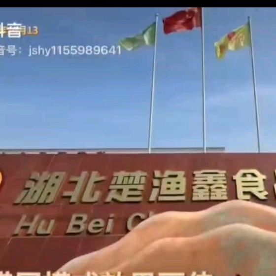 楚渔农鮰鱼加工厂