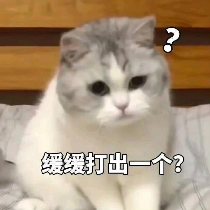 小黑煤球子⁰³⁰⁷