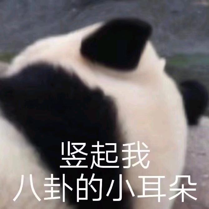 小灿烂ao