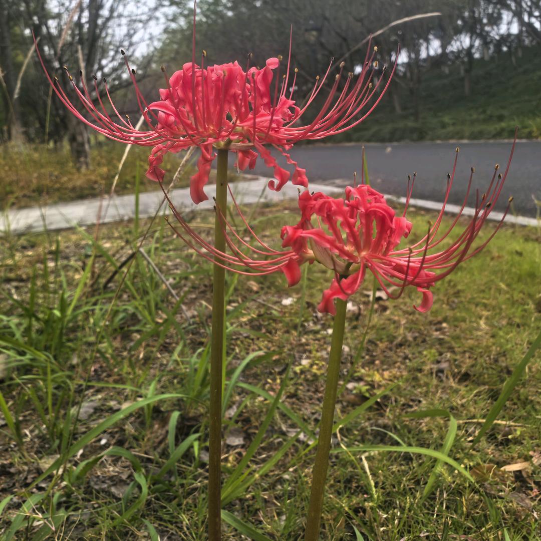 松🧗‍♂️🧗‍♂️🧗‍♂️