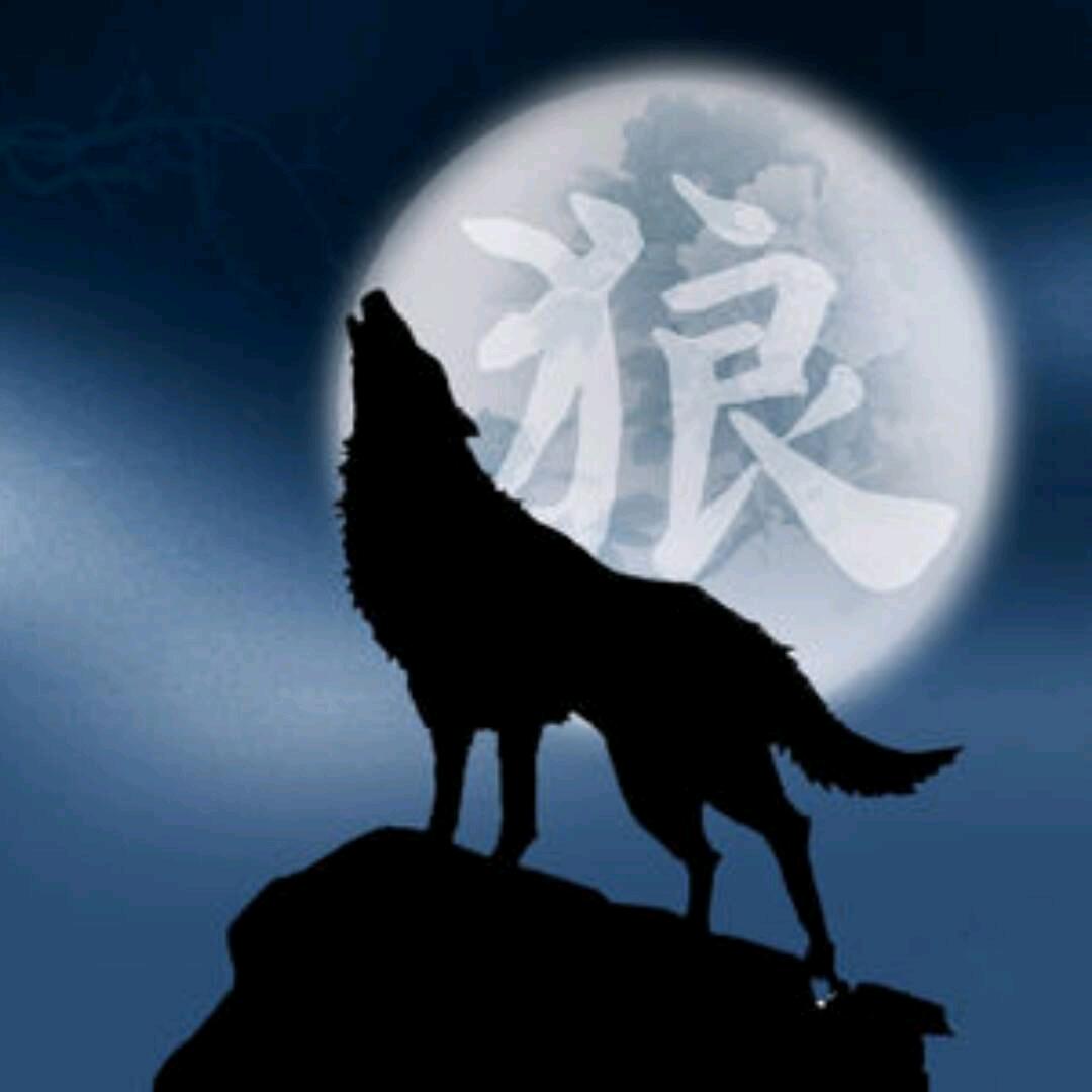 🐺西伯利亚狼🐺