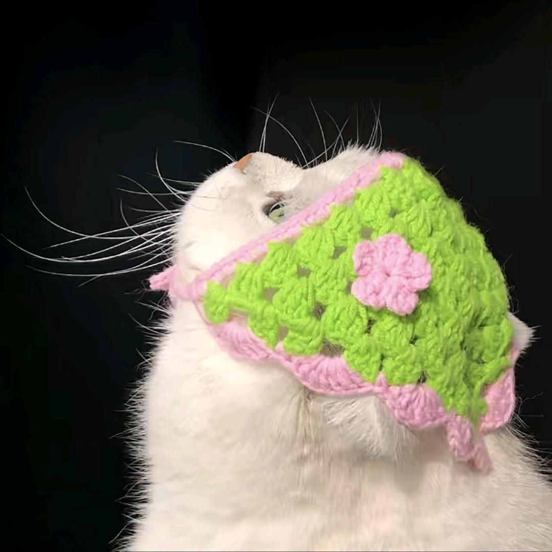 𖥧𖤣小鱼干❁⃘𖤣𖥧*ﾟ.