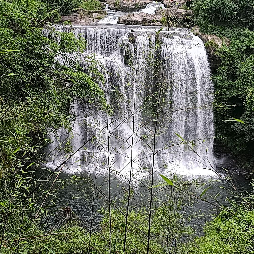 领南