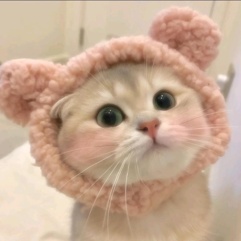 超超超爱吃香菜