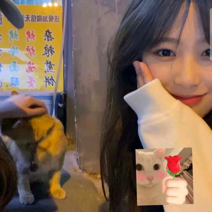 小艺布经营部
