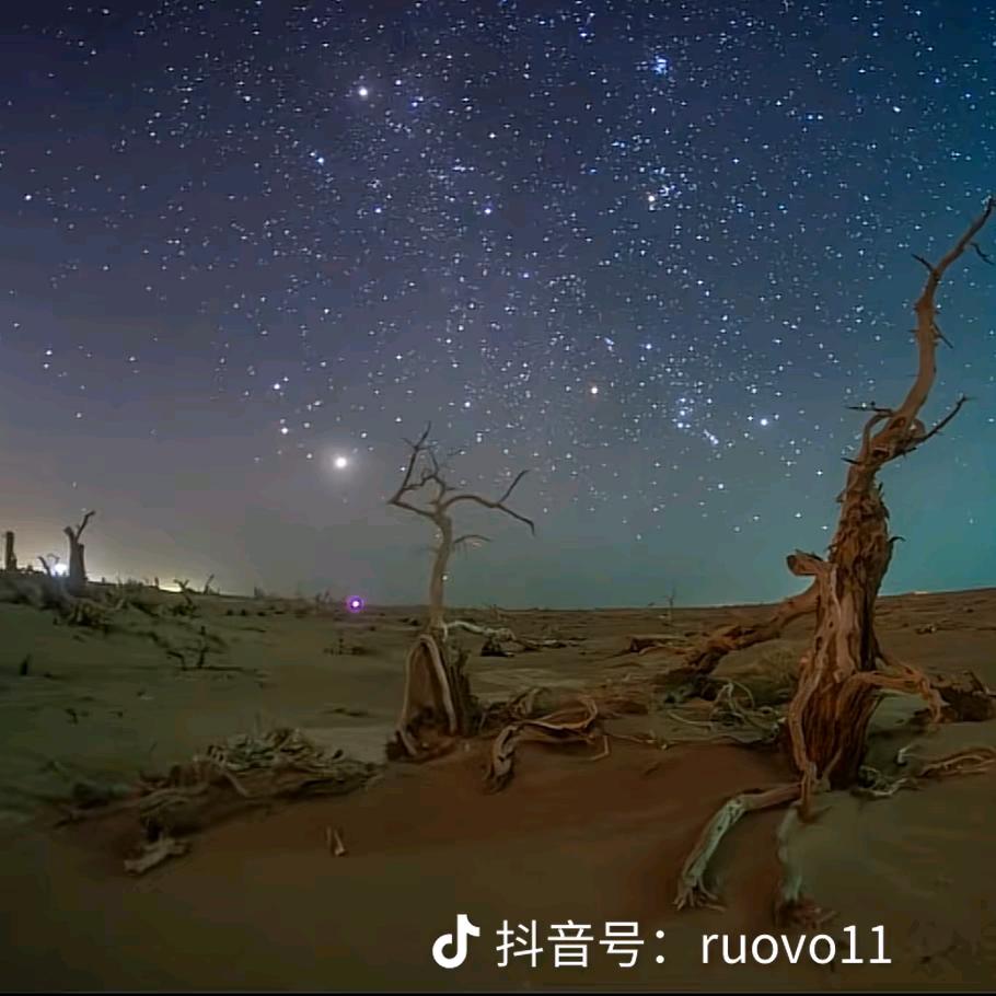 小雅