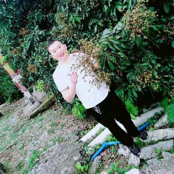 静月听风