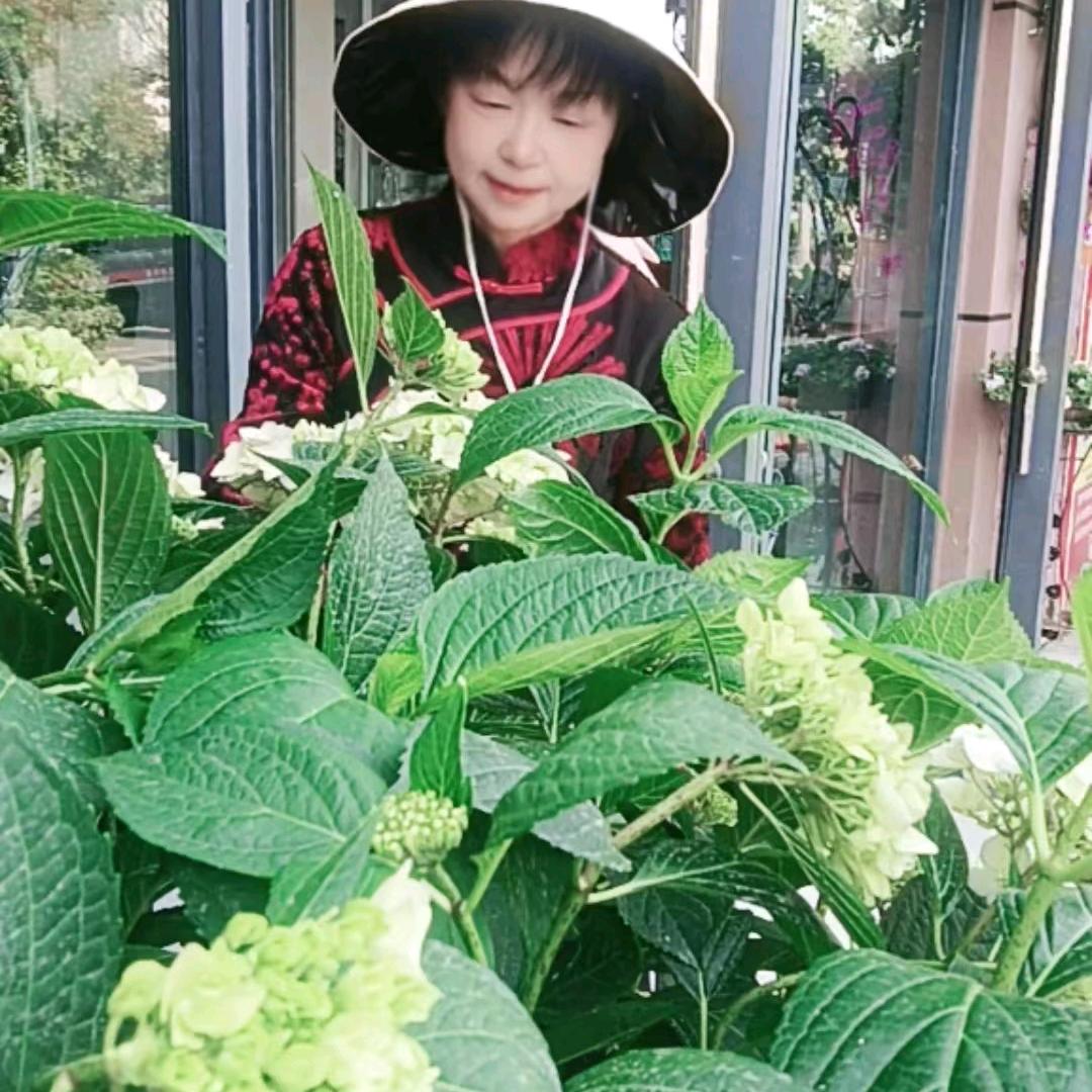朱宗兰
