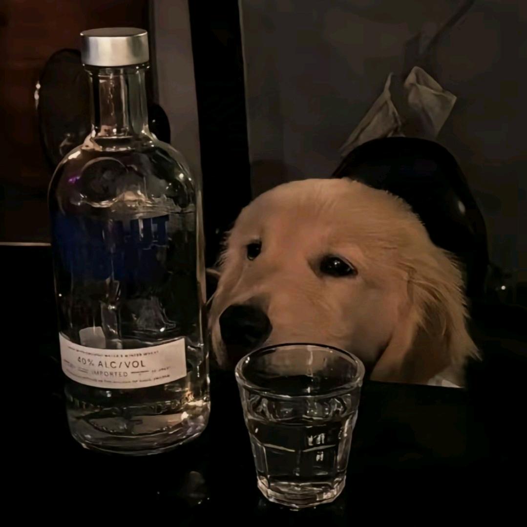 十壹