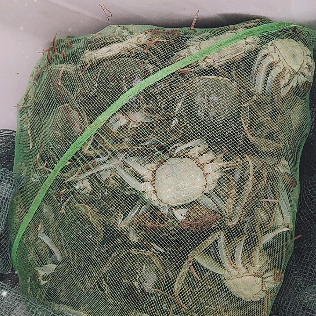 静海王口我最贱