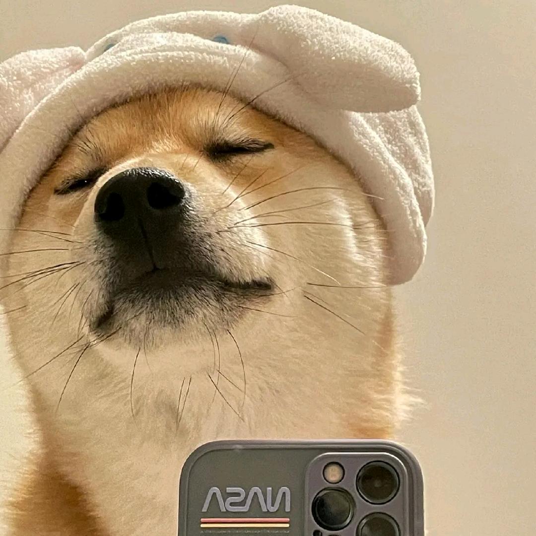 哈市吴彦祖