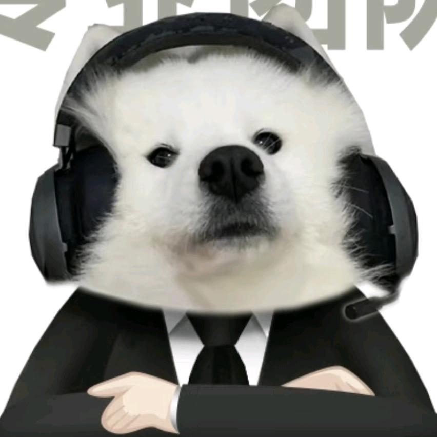 球球（西安租房版）